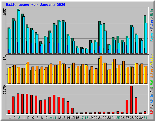 Daily usage for January 2026
