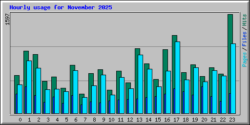 Hourly usage for November 2025
